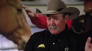 PAT PARELLI ON THE OLD WAY OF HORSE TRAINING  Road to the Horse 2022