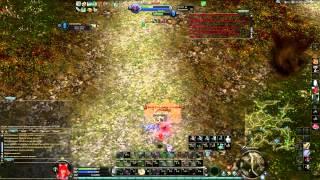 Aion ПВП Танк 65  PVP Templar 65 Shenku Делика  Delika