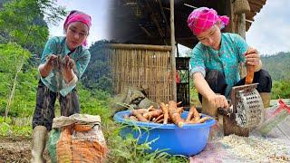 Harvest cassava garden to cook for ducks take care of animals daily life