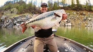 Cody Meyers Potential World Record Spotted Bass