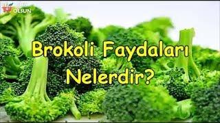 Brokoli Faydaları Nelerdir