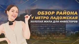 Обзор района у метро Ладожская. Золотая жила для инвестирования  Недвижимость СПБ