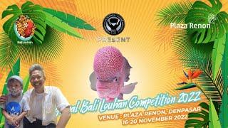 juara 1 2 3 Final Bali louhan Contest 2022 #konteslouhan #louhan