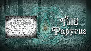 Tulli Papyrus  History