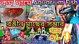 Serampore Fish Market  Serampore Animal Market  Serampore Poshu pakhir Haat  Aquarium Fish Price
