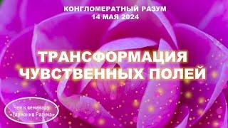 Софоос. чен.14.05.2024 г. Конгломератный Разум. Трансформация чувственных полей