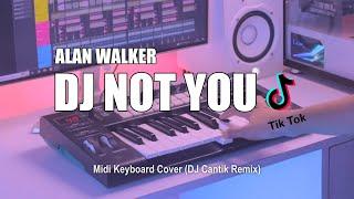 DJ Not You Alan Walker Tik Tok Remix Terbaru 2023 DJ Cantik Remix