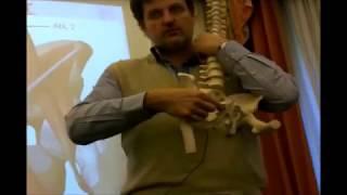 Treatment of the Psoas Muscle with Strain Counterstrain Technique - Jones Institute Europe