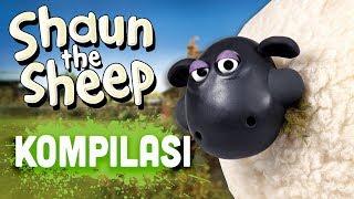 Shaun the Sheep - Season 4 Compilation Episodes 16-20