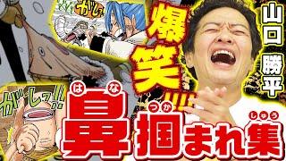 【真実はいつもひとつなぎ！？】コナンの名言も飛び出す！細かすぎるウソップの好きなところ【仲間がいるよTube】