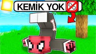 FERİTEDin KEMİKLERİ YOK  - Minecraft