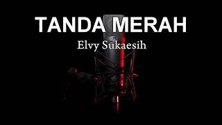 TANDA MERAH - KARAOKE TANPA VOKAL - #DANGDUT # KLASIK