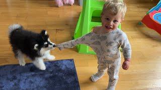 Adorable Baby Boy And Puppy Play Together So Cute