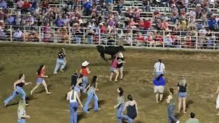 18+ Johnson County Sheriffs Posse Rodeo - Ladies Steer Scramble ......OUCH ‍