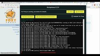 How to use Kronymous to access Tor Network on Chrome Browser