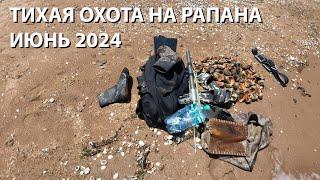 Тихая охота на рапана июнь 2024 Генеральские пляжи 2024 Крым 2024