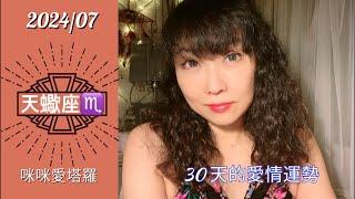 天蠍座7月愛情占卜 咪咪️塔羅 ️ Scorpio July 2024 Love Tarot Reading