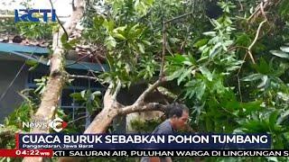 Pohon Tumbang Akibat Hujan Deras Disertai Angin Kencang di Pangandaran Jawa Barat - SIP 1706