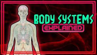 Body Systems Explained