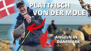 Plattfischangeln an der Ostsee in Dänemark - so fängst du Scholle Kliesche und Flunder von der Mole