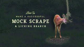 How to make a Mock Scrape & Licking Branch  - Basics for Success