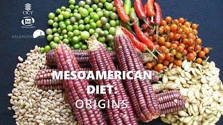 Mesoamerican diet Origins