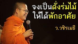 จงเป็นดั่งร่มไม้ ให้ได้พักอาศัย โดย ท่าน ว.วชิรเมธี พระเมธีวชิโรดม - พระมหาวุฒิชัย ไร่เชิญตะวัน