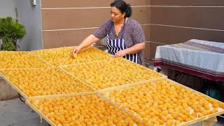 From Garden to Table Drying Apricots in Sulfur Cooking Traditional Pilaf and Sweets