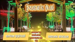 ANKARA  PURSAKLARDA MUHTEŞEM BİR YER  ENDEMİK VADİ 🪴Ankara’da gezilecek yerler - 1 #gezi