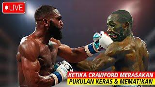 Crawford vs Jarron Ennis Ketika Juara 3 Divisi Dibuat Hancur  Tinju Dunia Hari Ini  Tinju 2024