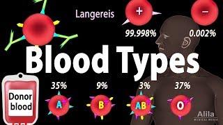 Blood Types Blood Group Systems and Transfusion Rule Animation