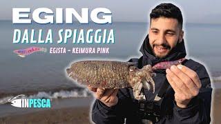 Pesca di SEPPIE con EGI di qualità • totanare EGISTA DTD Ballistic e YOZURI • EGING dalla spiaggia