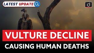 Vulture Decline Causing Human Deaths  Latest Update  Drishti IAS English