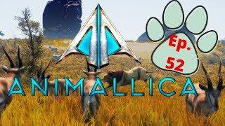 How Green Are My Hills? - Animallica Ep 52