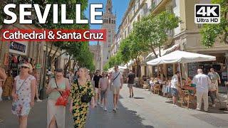 Sevilles Cathedral and Santa Cruz area ️ 4K Virtual Walking Tour Spain