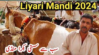 Lyari Bakra mandi latest update 01 Jun 2024  Sasti bakra mandi  Maweshi mandi 01-6-2024