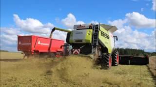 Annaburger EcoLiner HTS 22.12 - Lexion 770