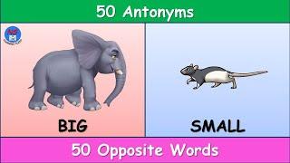 Antonyms For Kids 50 Antonyms 50 Opposite Words Opposite Words For Kids Antonyms with Pictures.