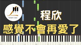 程欣 感覺不會再愛了『是你讓我不再相信愛情了。』鋼琴教學 Synthesia 琴譜