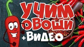 УЧИМ ОВОЩИ Развивающие мультики для детей Учим слова