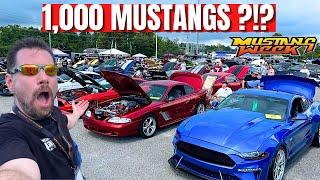 EVERY MUSTANG At Mustang WEEK ?  2023 Full Show Day Coverage