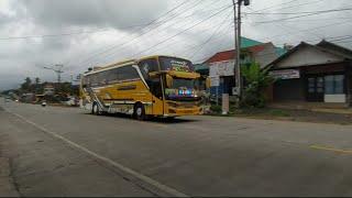 Truk & Bus jalur Selatan..‼️ #truk #bus #viral