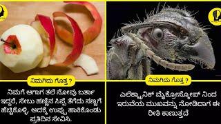 intresting facts in Kannada  amazing facts in Kannada shorts  kktv facts  rj facts in Kannada