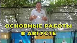 Как нарастить сильные пчелосемьи в зиму. Главные ошибки пчеловода в августе.