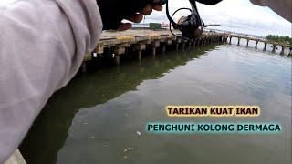 Mancing Ikan Kakap Tompel di Dermaga Pelabuhan Industri Penajam