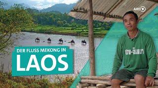 Der Mekong Tradition Tourismus und das Leben in Laos  ARD Reisen