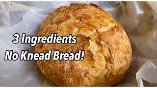 3 Ingredients NO KNEAD BREAD Easiest Homemade Bread 