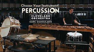 Choose Your Instrument  Percussion