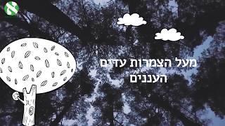 Listen to a song in Hebrew  - with lyrics Layla night