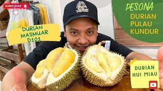 DURIAN PULAU KUNDUR⁉️                MASMUAR DAN HUI MIAUPATENN.